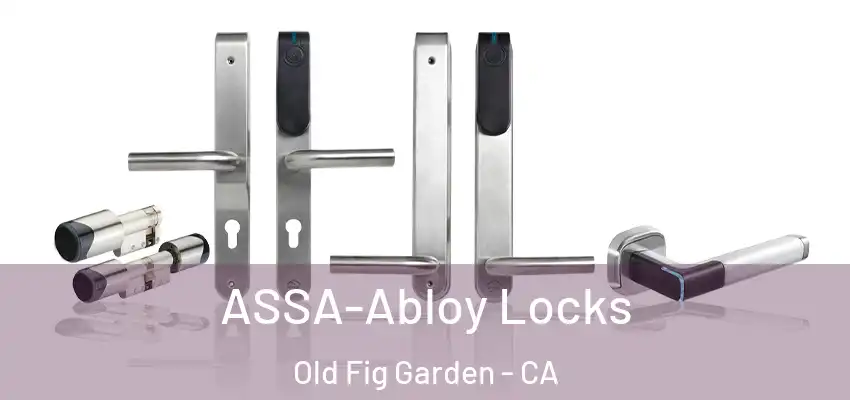  ASSA-Abloy Locks Old Fig Garden - CA