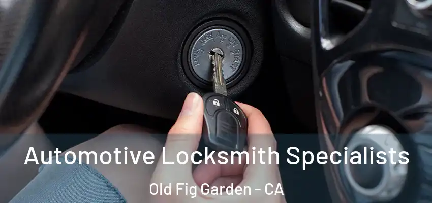  Automotive Locksmith Specialists Old Fig Garden - CA