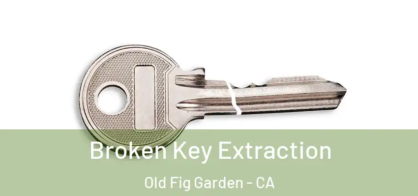  Broken Key Extraction Old Fig Garden - CA