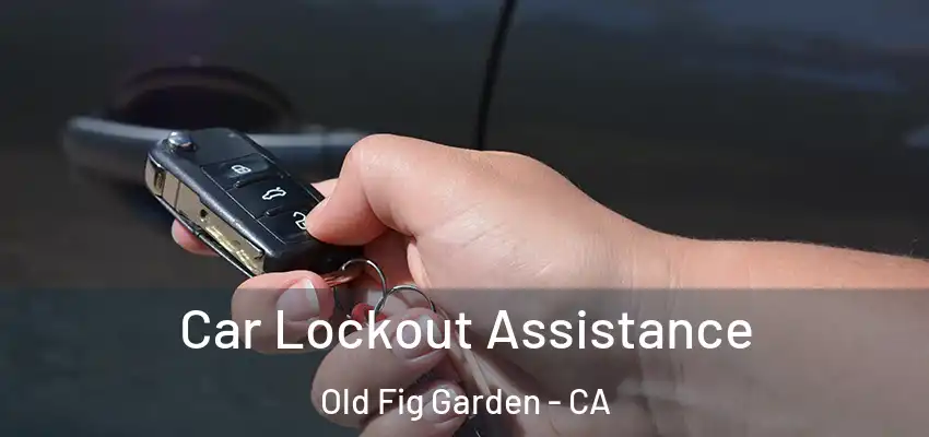 Car Lockout Assistance Old Fig Garden - CA