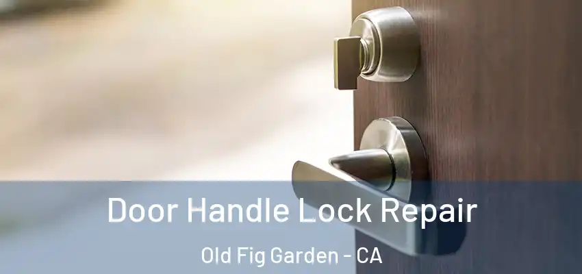  Door Handle Lock Repair Old Fig Garden - CA