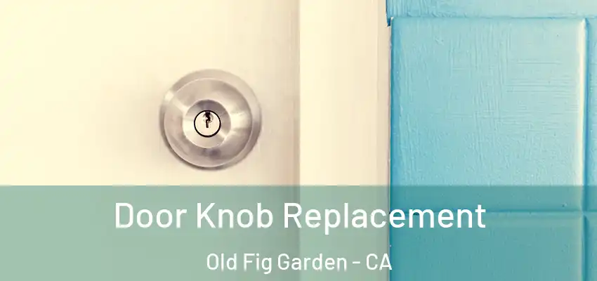  Door Knob Replacement Old Fig Garden - CA