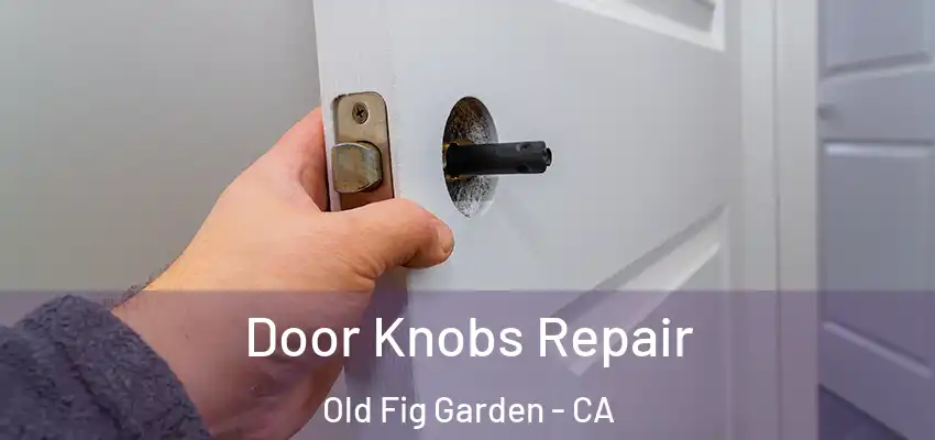  Door Knobs Repair Old Fig Garden - CA