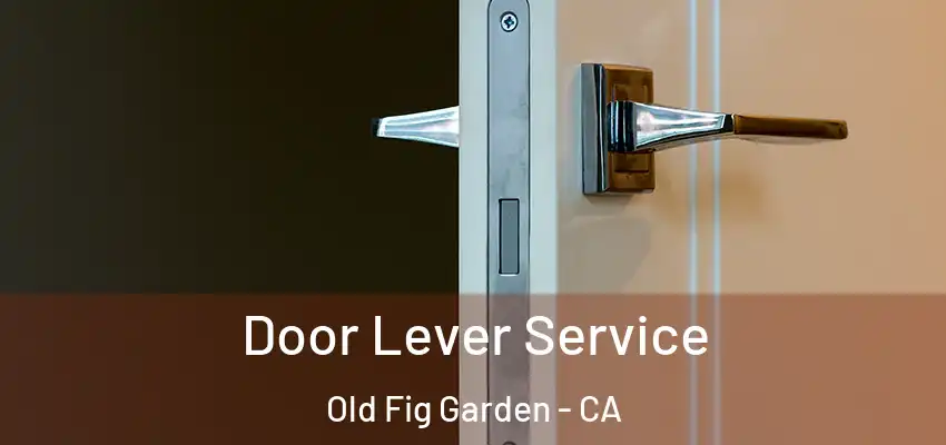  Door Lever Service Old Fig Garden - CA