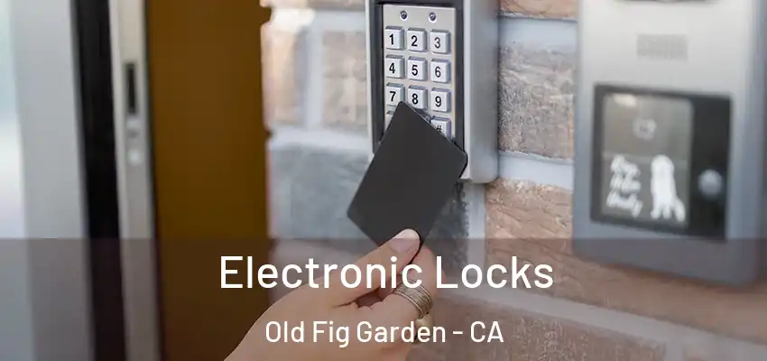  Electronic Locks Old Fig Garden - CA