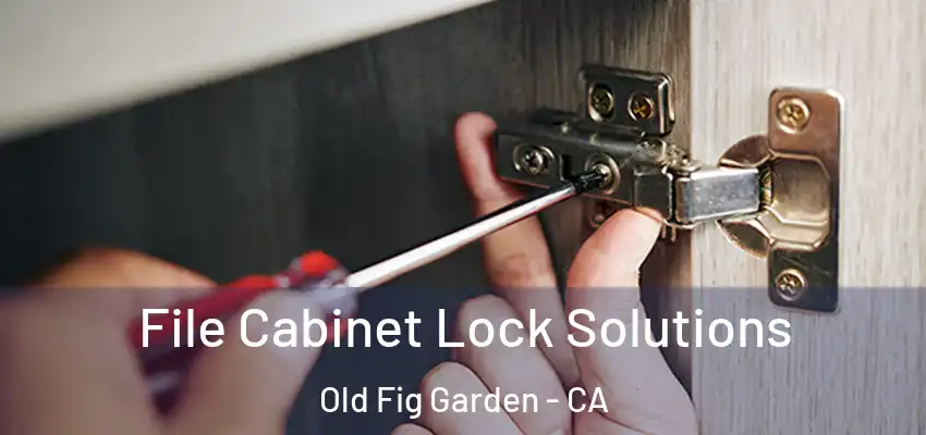  File Cabinet Lock Solutions Old Fig Garden - CA