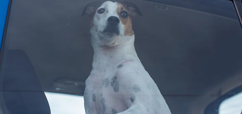 Car Lockout Solutions in Old Fig Garden, California