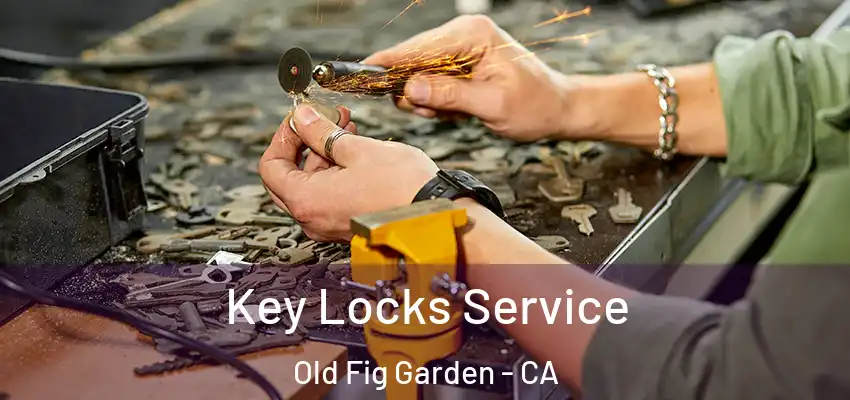  Key Locks Service Old Fig Garden - CA