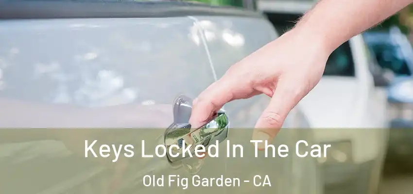  Keys Locked In The Car Old Fig Garden - CA