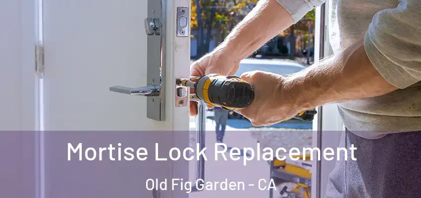  Mortise Lock Replacement Old Fig Garden - CA