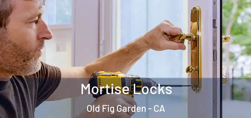  Mortise Locks Old Fig Garden - CA