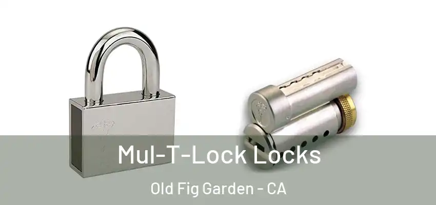  Mul-T-Lock Locks Old Fig Garden - CA