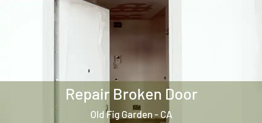 Repair Broken Door Old Fig Garden - CA