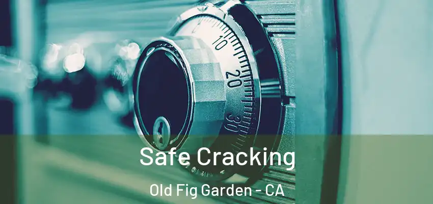  Safe Cracking Old Fig Garden - CA