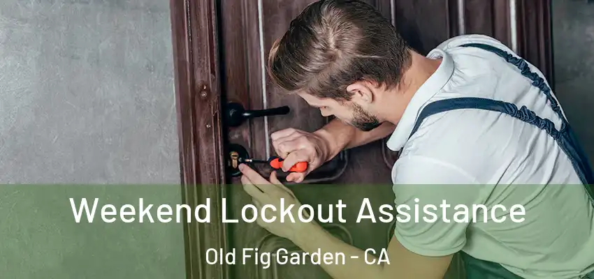 Weekend Lockout Assistance Old Fig Garden - CA