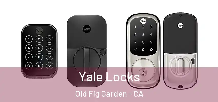  Yale Locks Old Fig Garden - CA